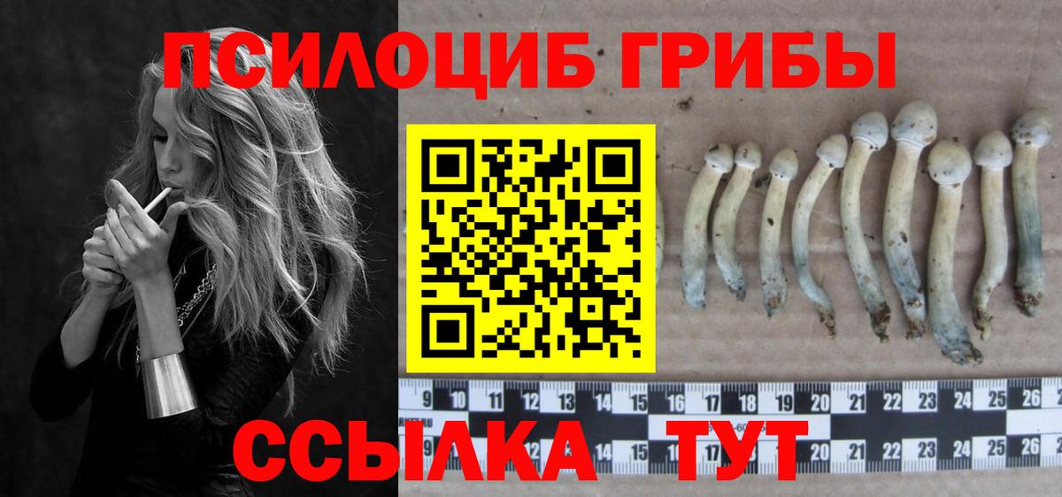 Ревда  Псилоцибиновые грибы прущие грибы  где купить наркоту  Псилоцибиновые грибы GOLDEN TEACHER  Вход с VPN 